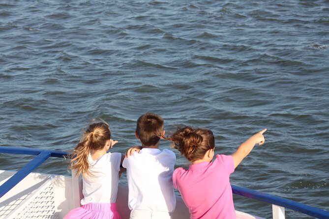 1.5-Hour Charleston Harbor Cruise with Live Narration - Choosing between Aquarium Wharf and Patriots Point