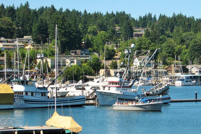2 Hour Guided Boat Tour in Gig Harbor and Narrows Bridges - Wildlife watching on a short afternoon outing