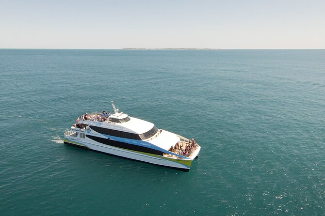 2 Hour Whale-Watching Cruise from Hillarys Boat Harbour - Leaving Perth for Hillarys Boat Harbour