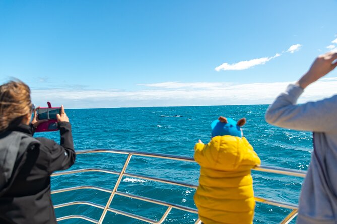 2 Hour Whale-Watching Cruise from Hillarys Boat Harbour - Seating, photographs, and the best viewing strategy
