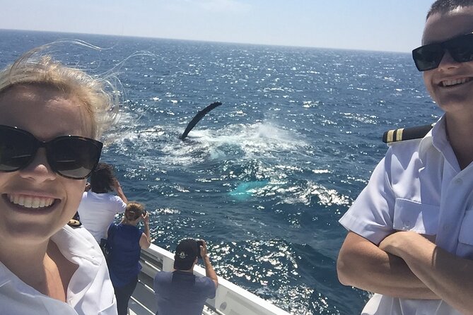 2 hour whale watching experience departing Hillarys Boat Harbour - Setting off from Hillarys Boat Harbour