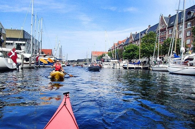2 Hours Guided Kayak Tour in Copenhagen Harbor - New waterfront architecture before the return