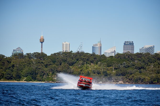 30-Minute Sydney Harbour Jet Boat Thrill Ride - Is $51.07 good value for 30 minutes?