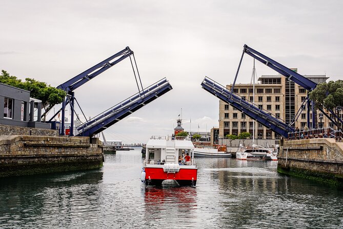 30min Harbour Boat Cruise Cape Town - Table Mountain views from a different angle