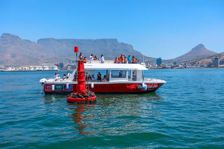 30min V&A Waterfront Harbour Cruise Cape Town - Key points to know before boarding