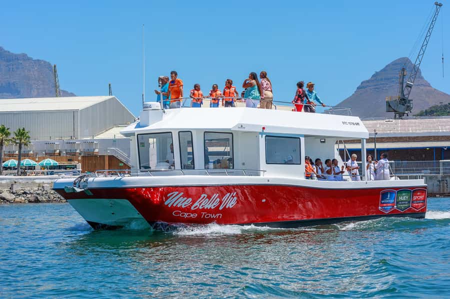 30min V&A Waterfront Harbour Cruise Cape Town - Is $9 good value?