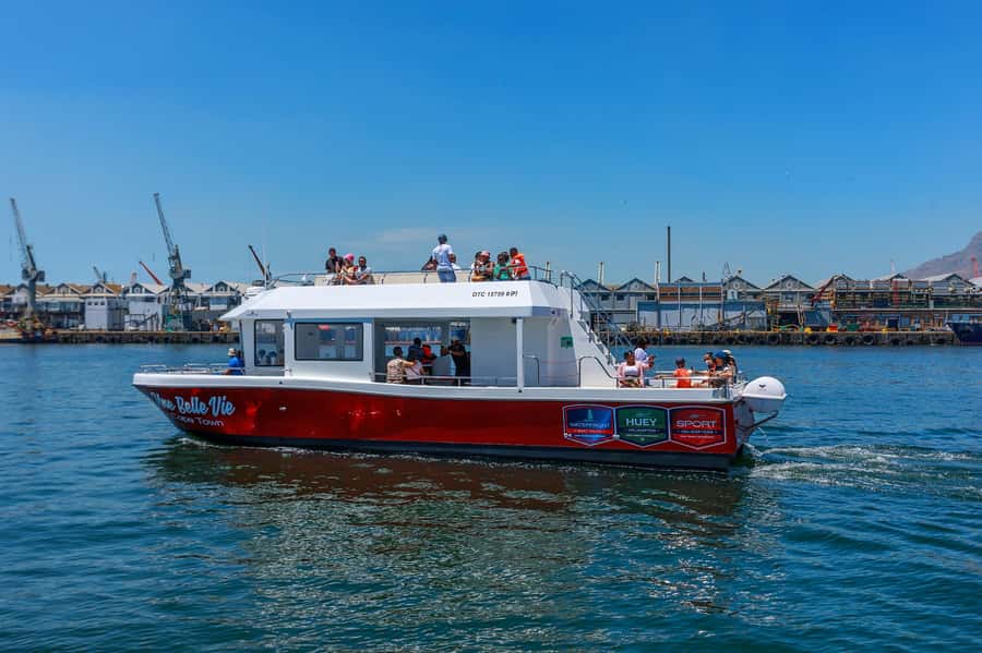 30min V&A Waterfront Harbour Cruise Cape Town - Who should book this cruise?