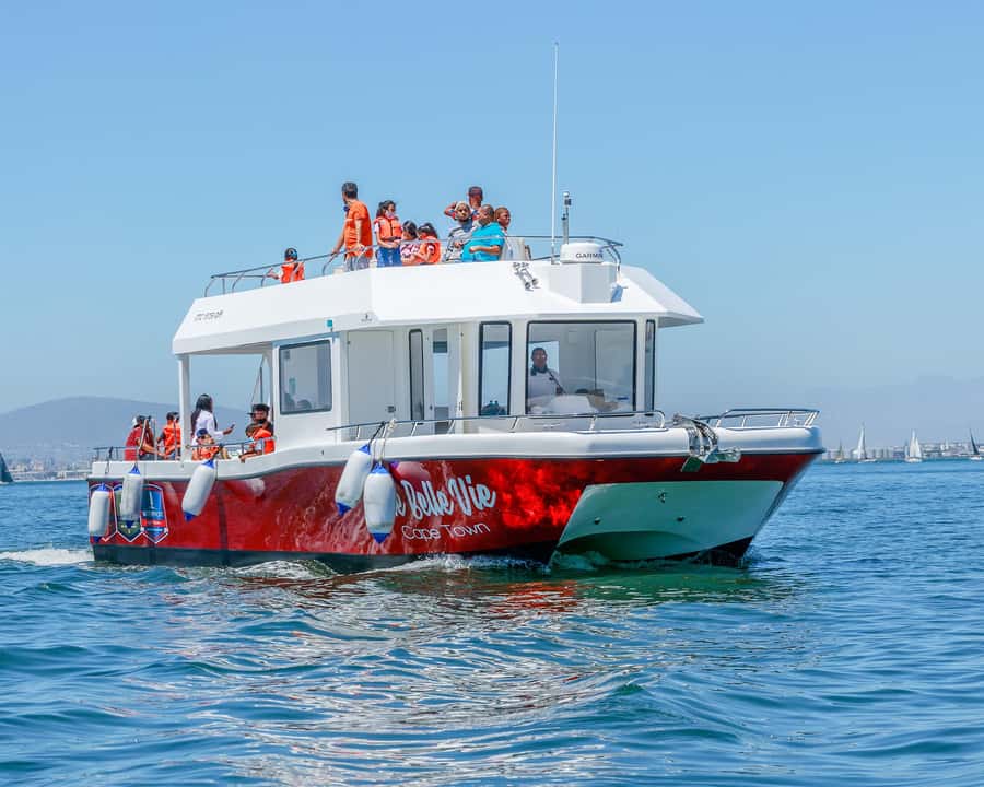 30min V&A Waterfront Harbour Cruise Cape Town - A 30-minute route through the harbour