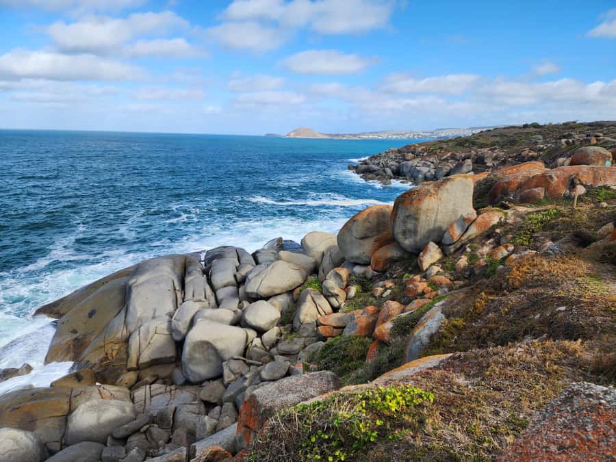 Adelaide: McLaren Vale, Port Elliot & Victor Harbor Tour - Why this Adelaide day trip works