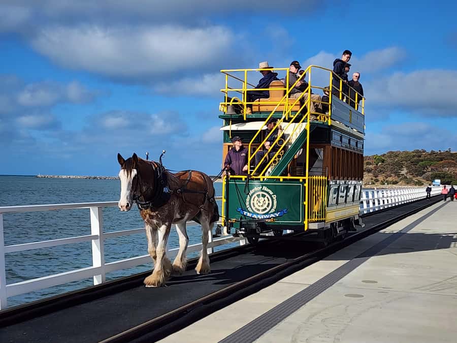 Adelaide: McLaren Vale, Port Elliot & Victor Harbor Tour - Port Elliot gives you cliffs, surf, and a photo stop