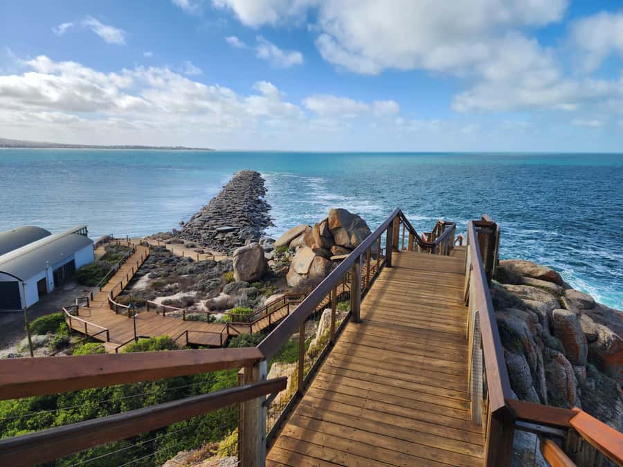 Adelaide: McLaren Vale, Port Elliot & Victor Harbor Tour - Timing, comfort, and the small-group setup
