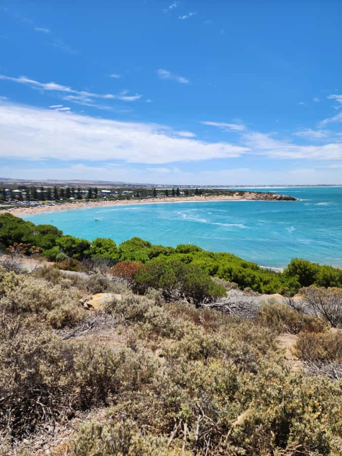Adelaide: McLaren Vale, Port Elliot & Victor Harbor Tour - Who should book this tour?