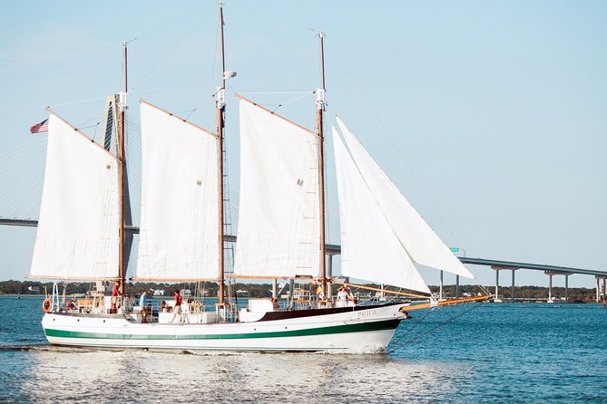 Afternoon Schooner Sightseeing Dolphin Cruise on Charleston Harbor - Dolphins, pelicans, and the value of chance