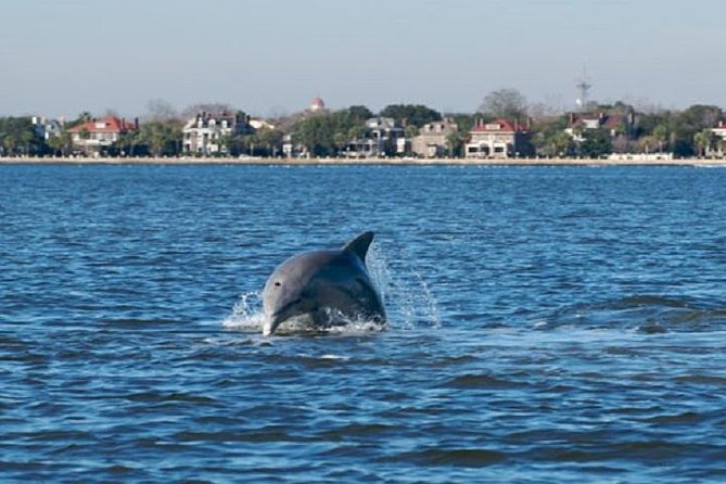 Afternoon Schooner Sightseeing Dolphin Cruise on Charleston Harbor - A quiet sail instead of a narrated tour