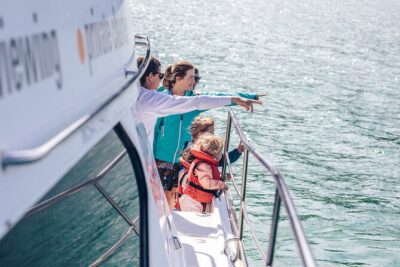 Akaroa Dolphins ~ Harbour Nature Cruise