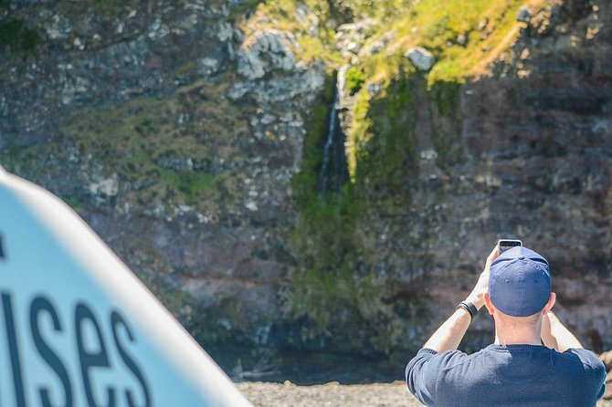 Akaroa Dolphins ~ Harbour Nature Cruise - Who will enjoy this cruise most?