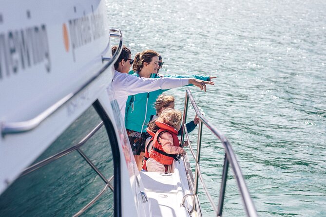 Akaroa Dolphins ~ Harbour Nature Cruise - Searching for Hector’s dolphins
