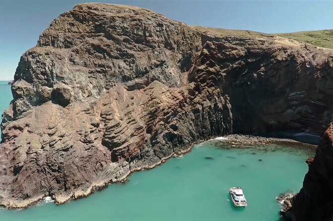 Akaroa Harbour Nature Cruise - Key points to know before you book