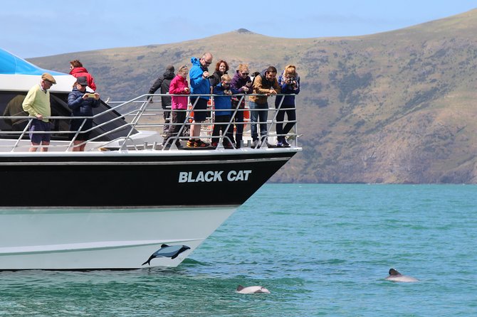 Akaroa Harbour Nature Cruise - The catamaran ride and onboard comfort