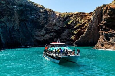 Akaroa Harbour Nature Cruise