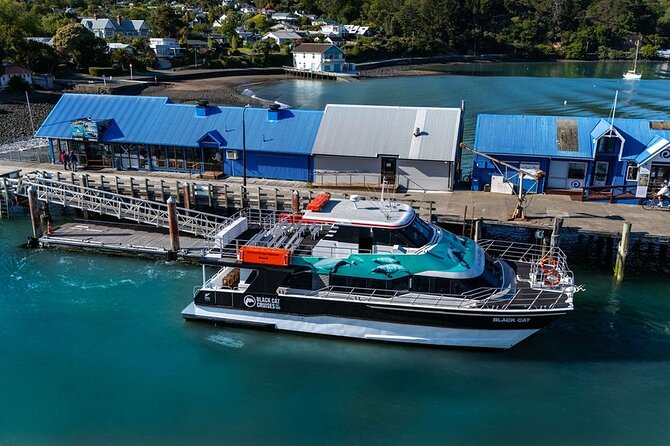 Akaroa Harbour Nature Cruise - Commentary on culture, conservation, and place