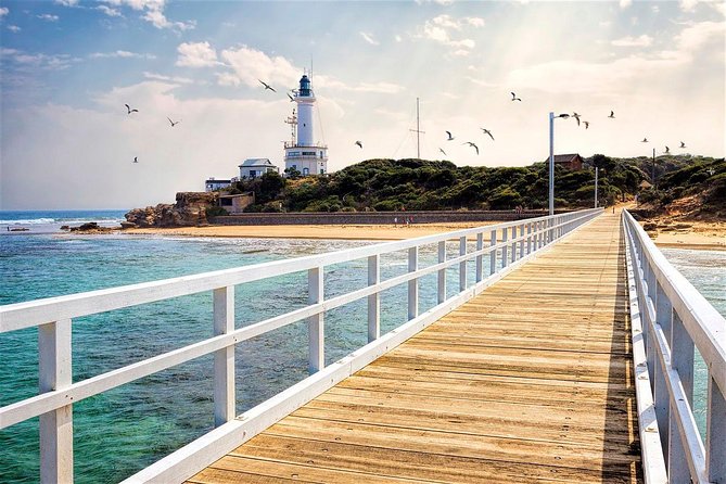 Around the Bay Sightseeing and Bay Cruise - Geelong waterfront: an easy start by the bay