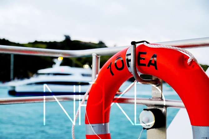 Auckland Harbour Cruise - Seating, weather, and hearing the guide