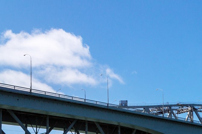 Auckland Harbour Cruise - Is $36.61 good value?