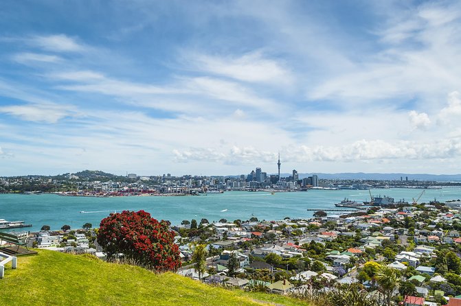 Auckland Harbour Cruise - Who should book this cruise?
