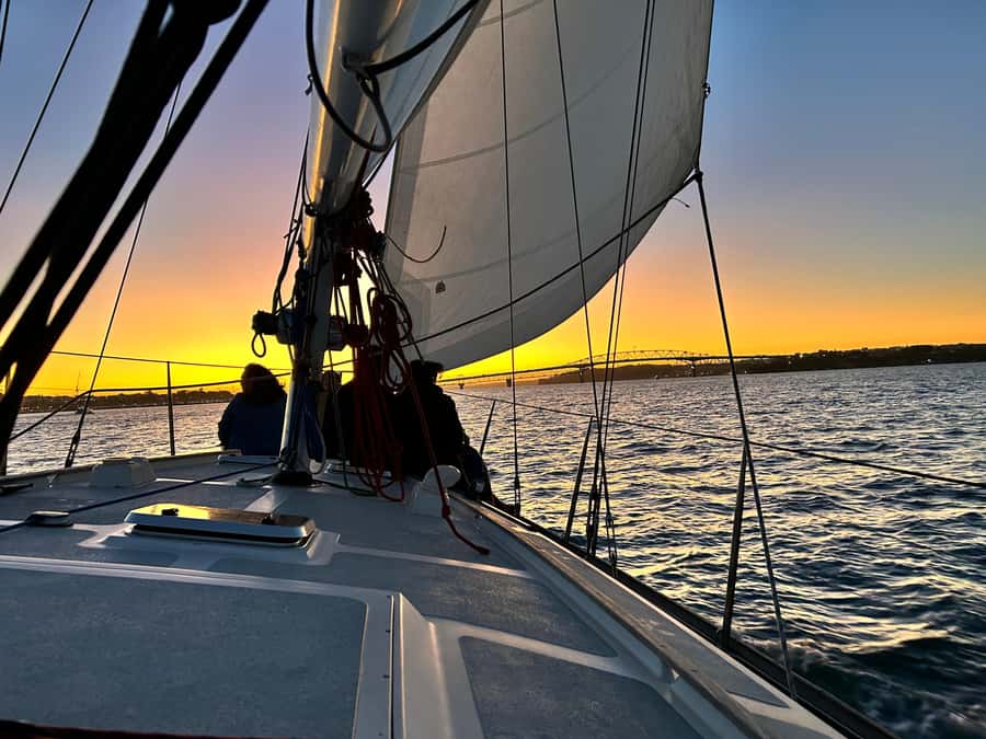 Auckland: Harbour Sailing Cruise with 3-Course Dinner - Auckland’s skyline from the water