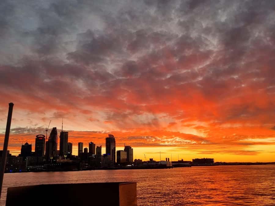 Auckland: Nightlights Harbour Cruise with Canapés and Drink - Leaving Z Pier at Westhaven Marina