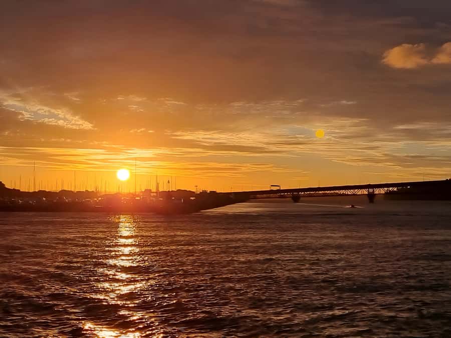 Auckland: Nightlights Harbour Cruise with Canapés and Drink - Who will enjoy this cruise most?