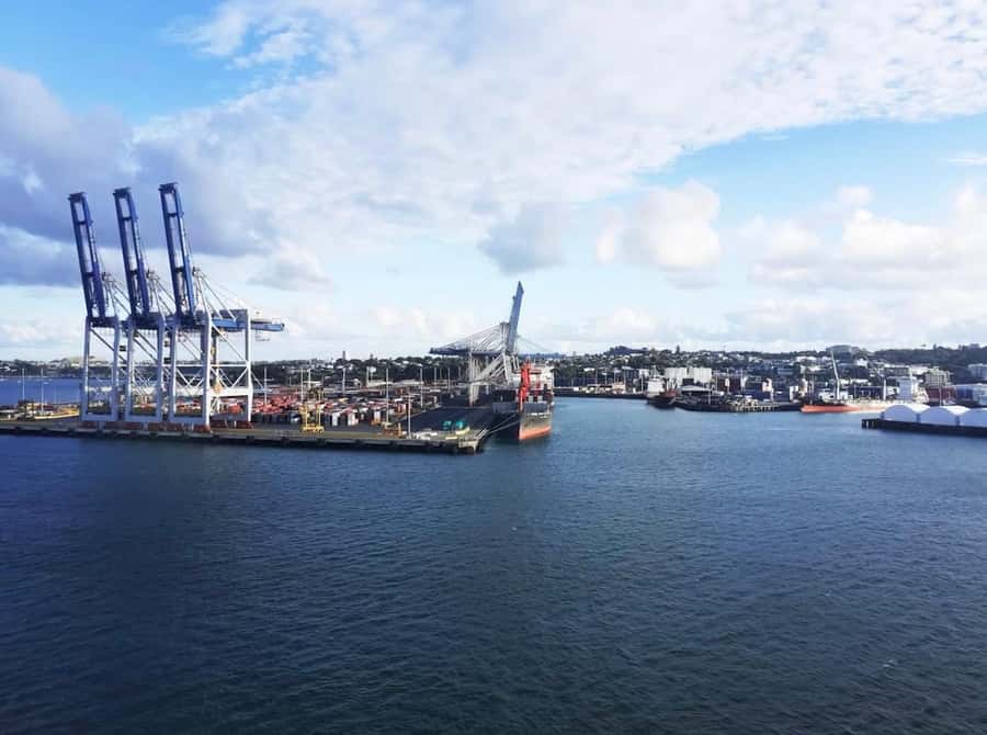 Auckland: Scenic Harbour Cruise with Live Commentary - The first five minutes: safety and settling in