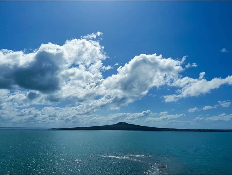 Auckland: Scenic Harbour Cruise with Live Commentary - The main hour: bridges, skyline, Devonport, and Rangitoto