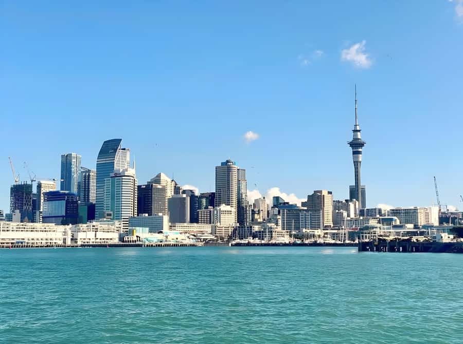Auckland: Scenic Harbour Cruise with Live Commentary - Photography: excellent angles, imperfect windows