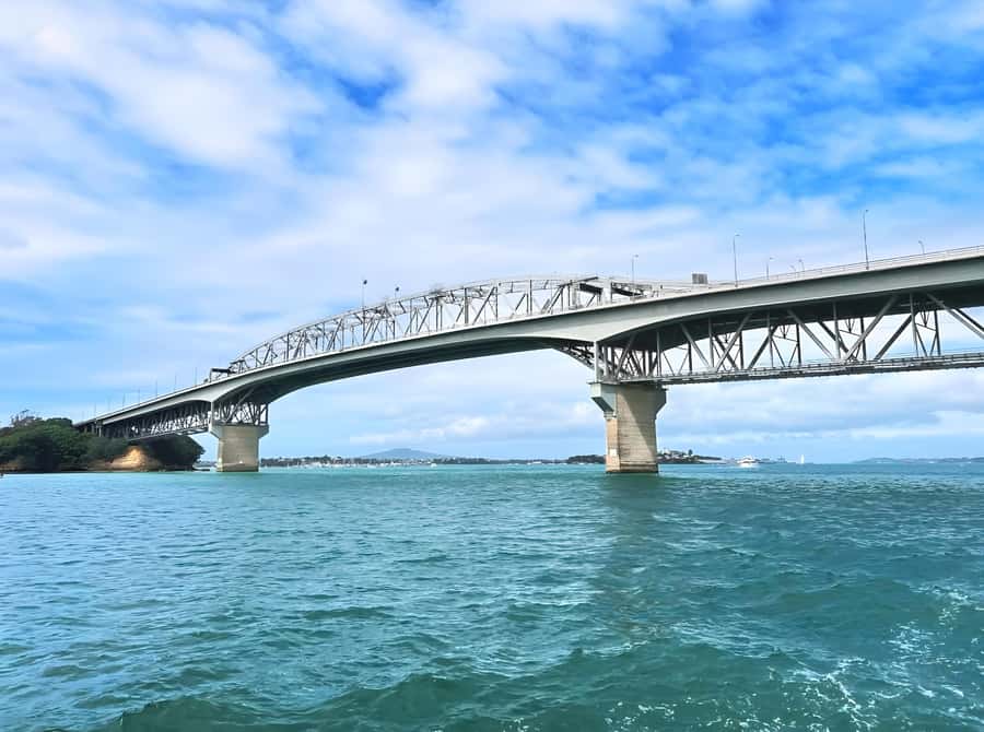 Auckland: Scenic Wine and Cheese Harbour Cruise - Key points to know before you book