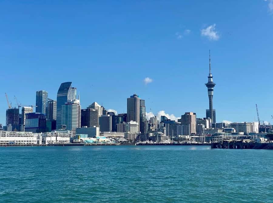 Auckland: Scenic Wine and Cheese Harbour Cruise - What comes in the cheese and charcuterie box