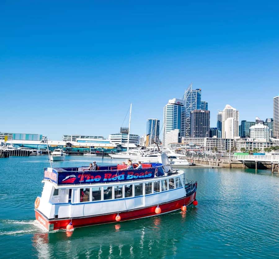 Auckland: Scenic Wine and Cheese Harbour Cruise - Choosing wine or local beer