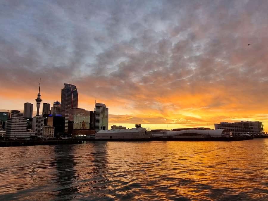 Auckland Sunset Harbour Cruise - The first views across Waitematā Harbour