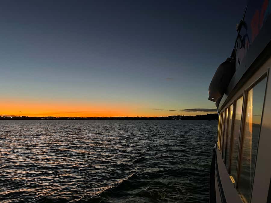 Auckland Sunset Harbour Cruise - Sunset, city lights, and the best photo moments