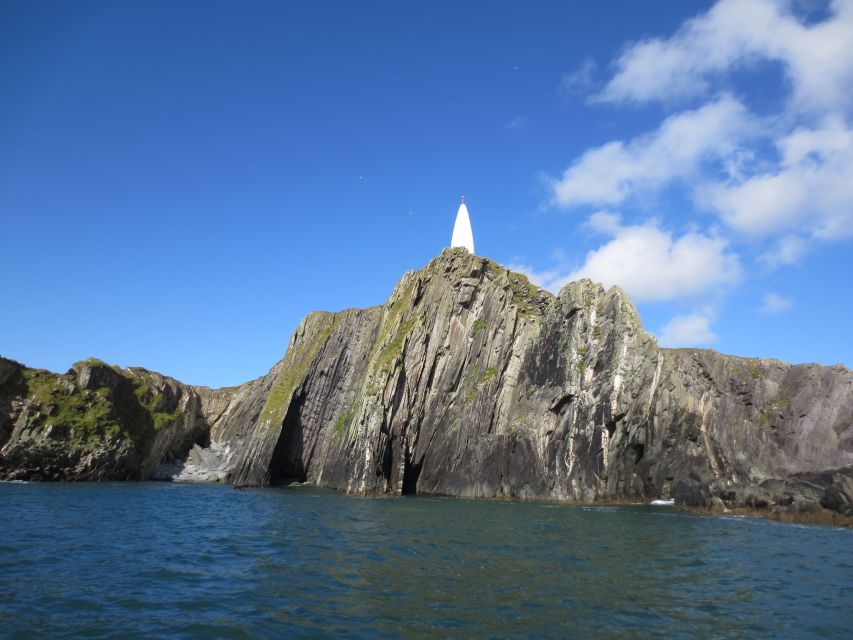 Baltimore Harbor: Sunset Cruise to Fastnet Rock Lighthouse - Who will enjoy this Fastnet cruise most?
