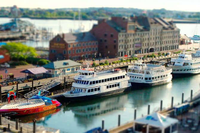 Best Of Boston: Harvard, MIT, Harbor Cruise Small Group Day Trip - Summer Harbor Cruise or Winter Lobster Lunch