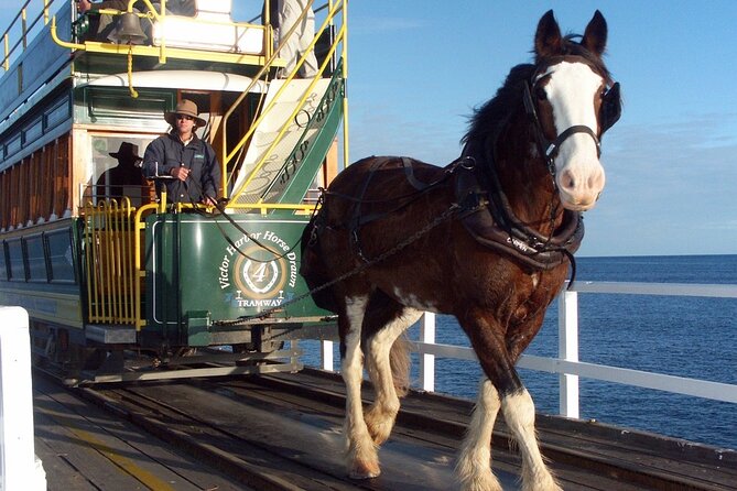 Best of SA, Hahndorf , Victor Harbor & d'arenberg 'Cube' Tour - Key things to know before booking