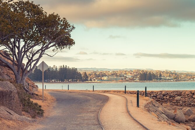 Best of SA, Hahndorf , Victor Harbor & d'arenberg 'Cube' Tour - Fish and chips make lunch simple
