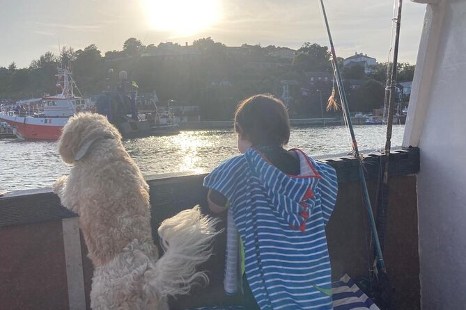 Boat Tour of Kinsale Harbour and Bandon River - The best way to decide