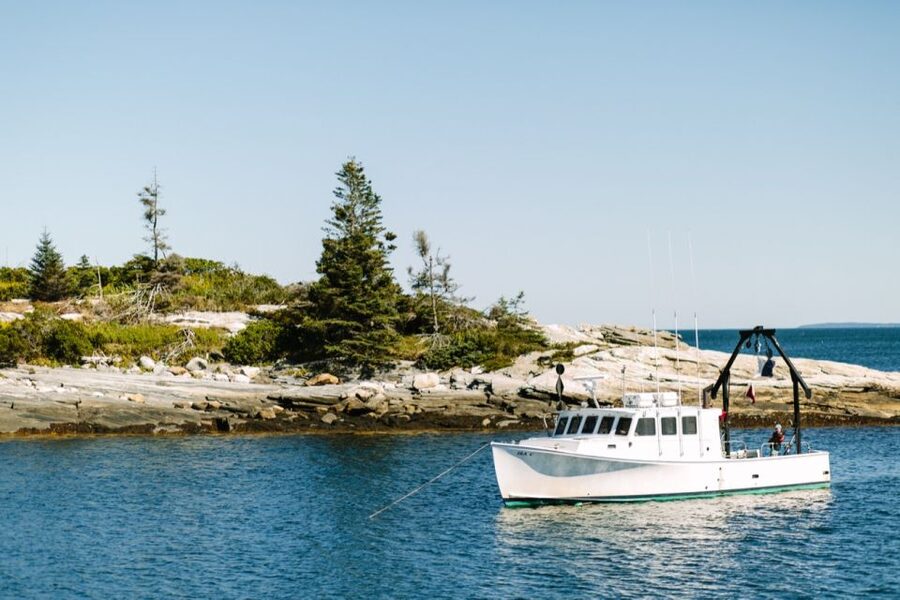 Boothbay Harbor: Pemaquid Point & John's Bay Cruise - Seals, gulls, and the small surprises offshore
