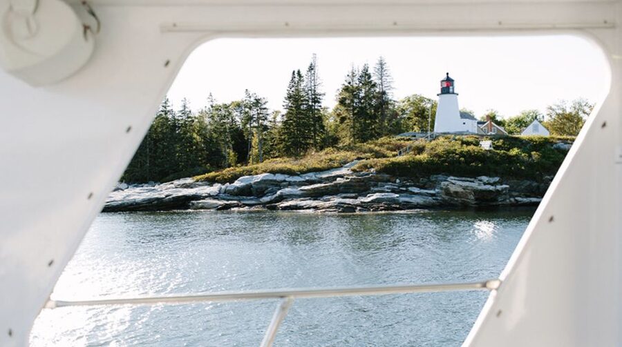 Boothbay: Lighthouses & Islands Harbor Cruise - Wildlife sightings around the harbor