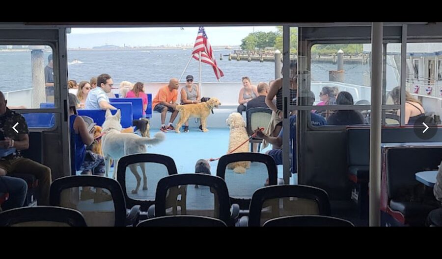 Boston: Scenic Harbor Cruise (Dog-Friendly) - Reaching the North End and returning to Rowes Wharf