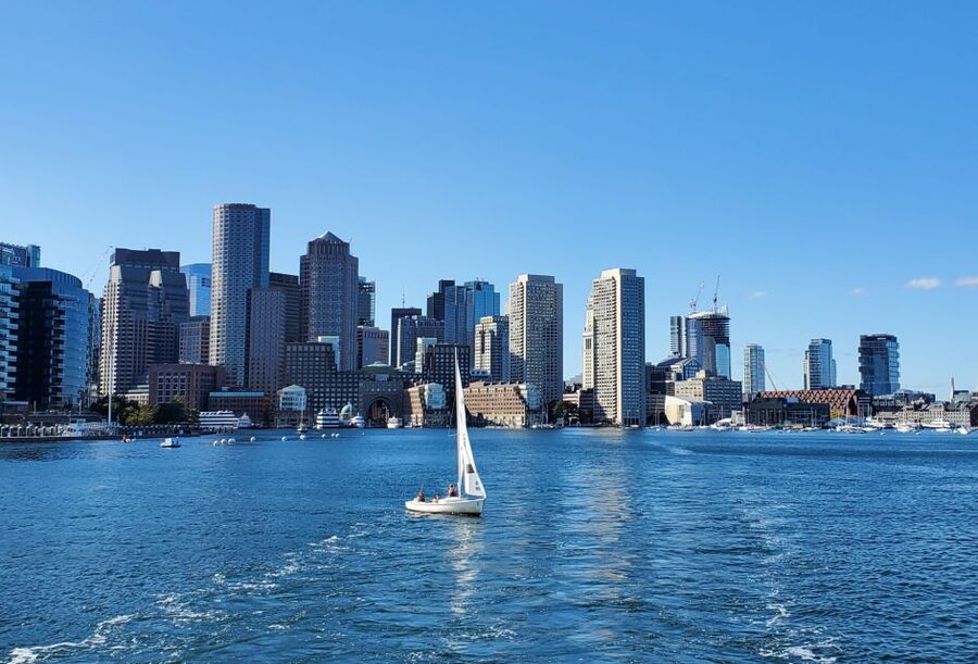 Boston: Scenic Harbor Cruise (Dog-Friendly) - Bringing your dog aboard