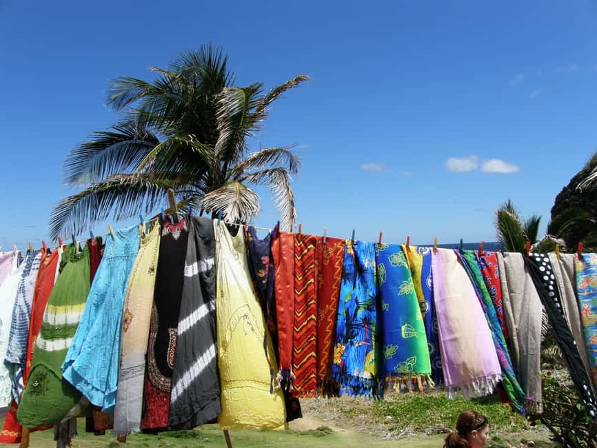 Bridgetown: Wildlife Reserve Tour and Carlisle Bay Cruise - Turtle sightings depend on nature